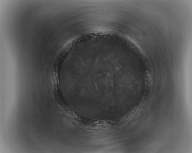 X0000113060918200908281131
