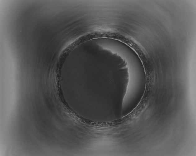 X0000113060919200908281131