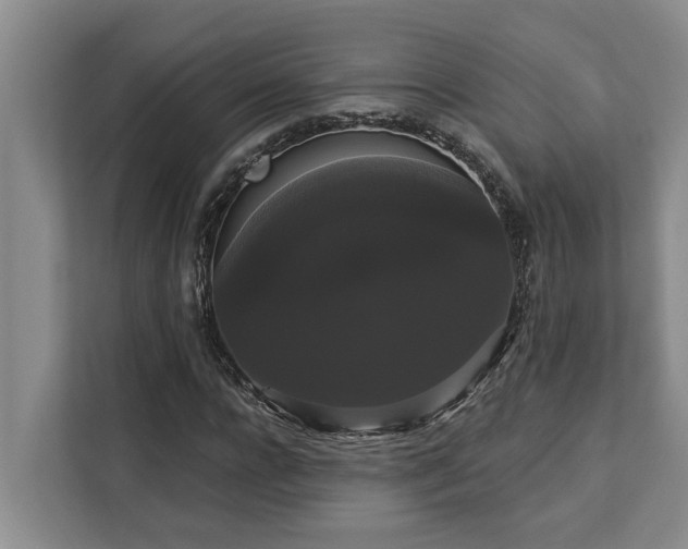 X0000113060920200908281131