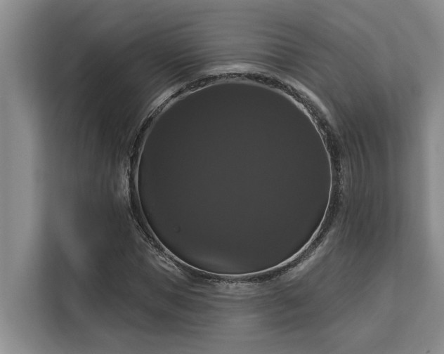X0000113060921200908281131