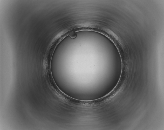 X0000113060922200908281131