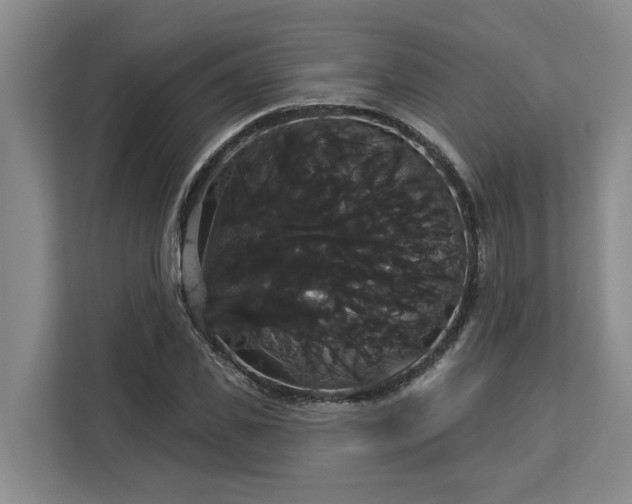 X0000113060925200908281131