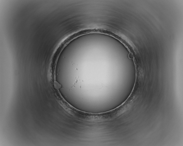 X0000113060927200908281131