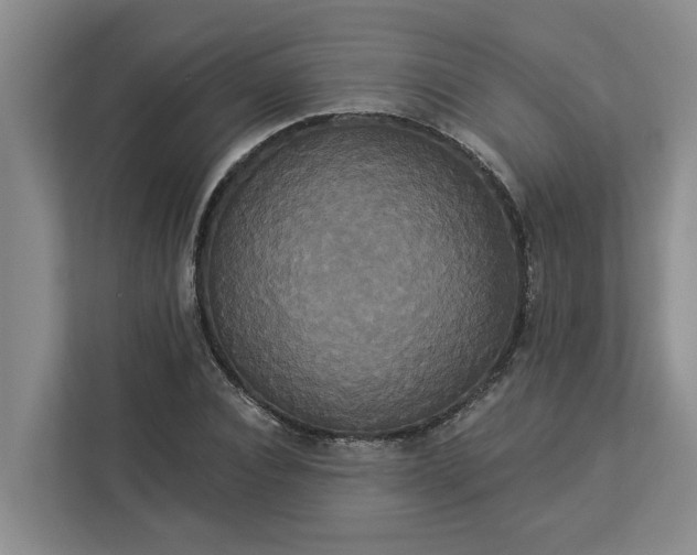 X0000113060928200908281131