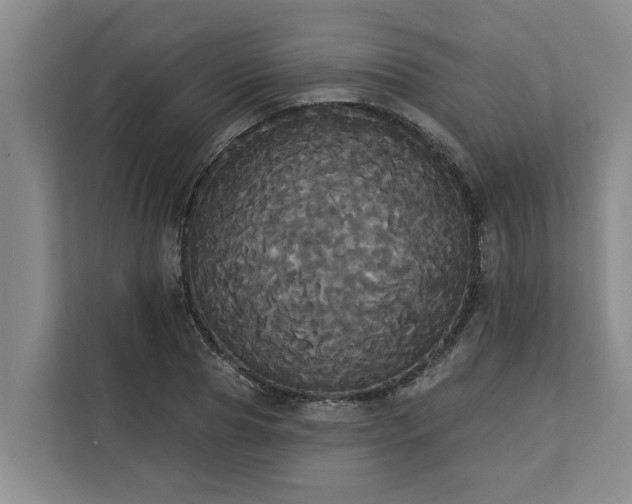 X0000113060929200908281131