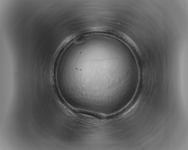 X0000113060930200908281131