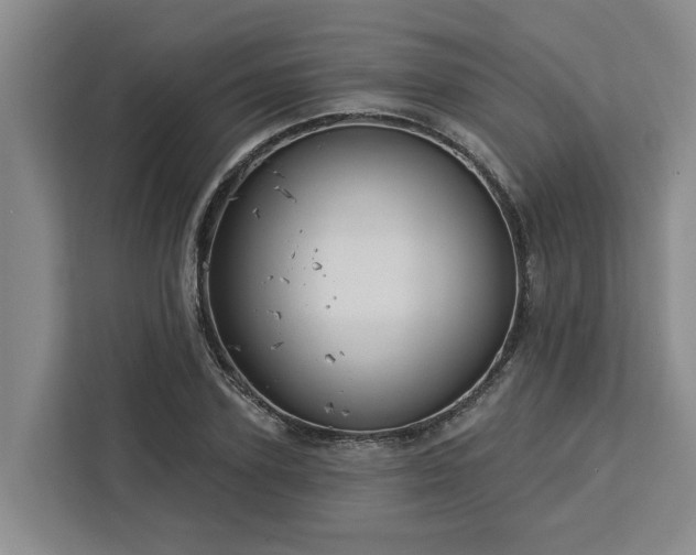 X0000113060931200908281131