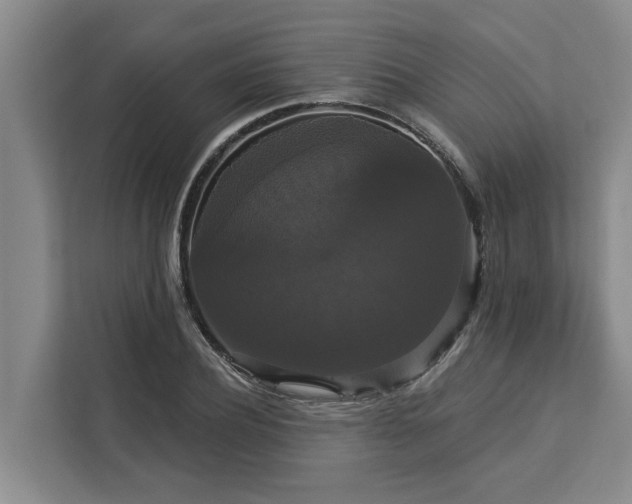X0000113060932200908281131