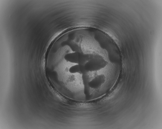 X0000113060933200908281131