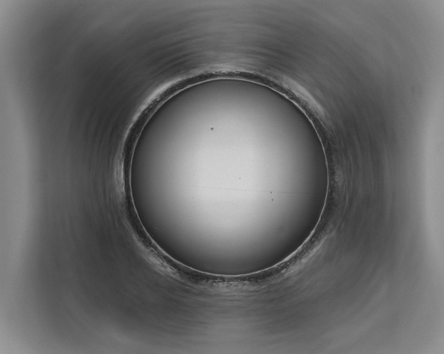 X0000113060934200908281131