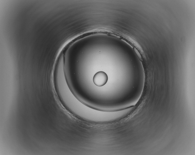X0000113060936200908281131