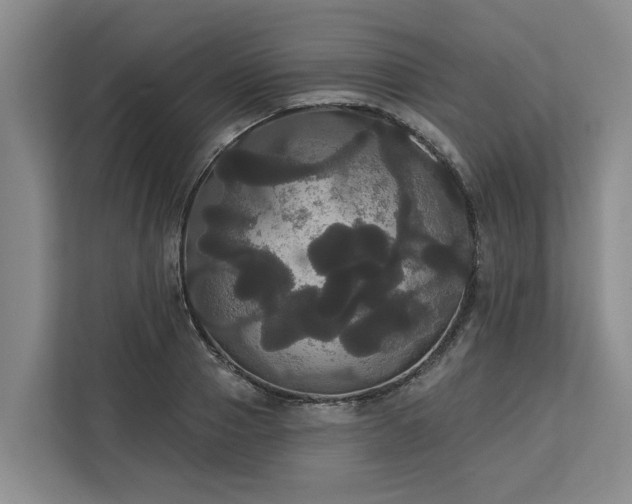 X0000113060937200908281131