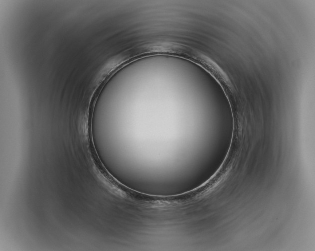 X0000113060938200908281131