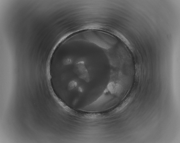 X0000113060939200908281131