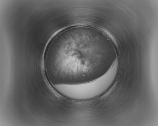 X0000113060940200908281131
