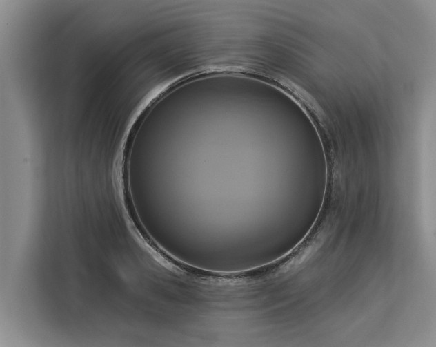 X0000113060941200908281131