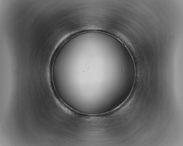 X0000113060942200908281131