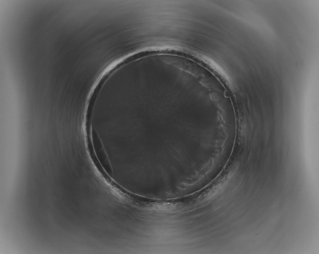 X0000113060943200908281131