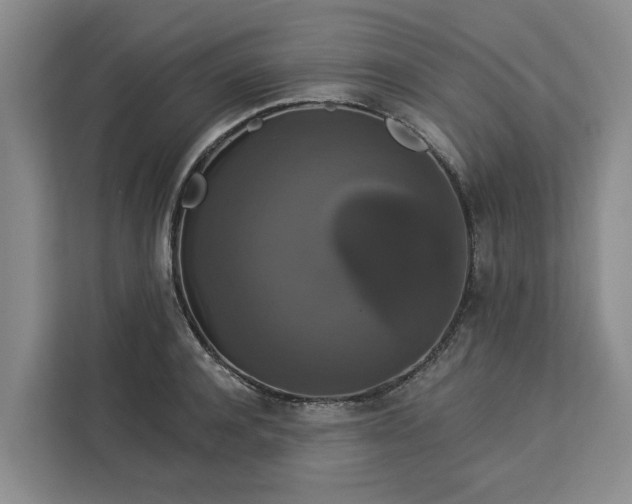 X0000113060944200908281131