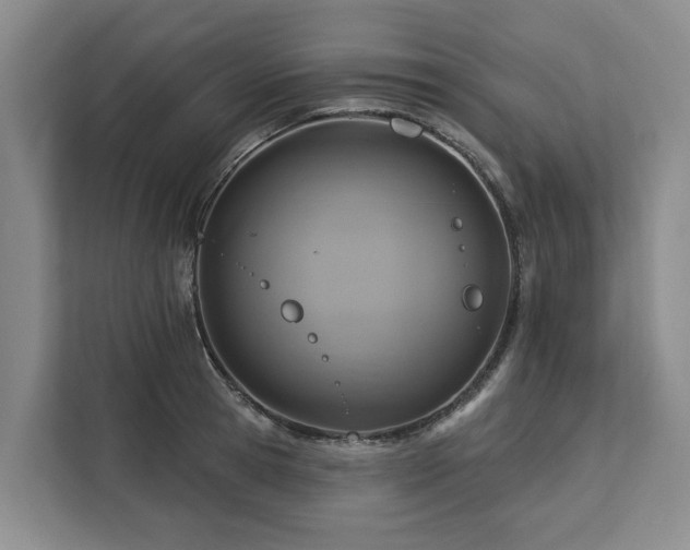 X0000113060945200908281131