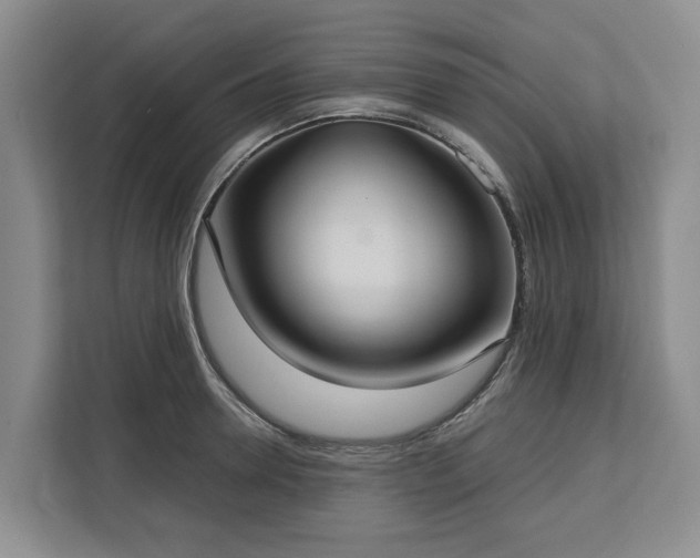 X0000113060946200908281131