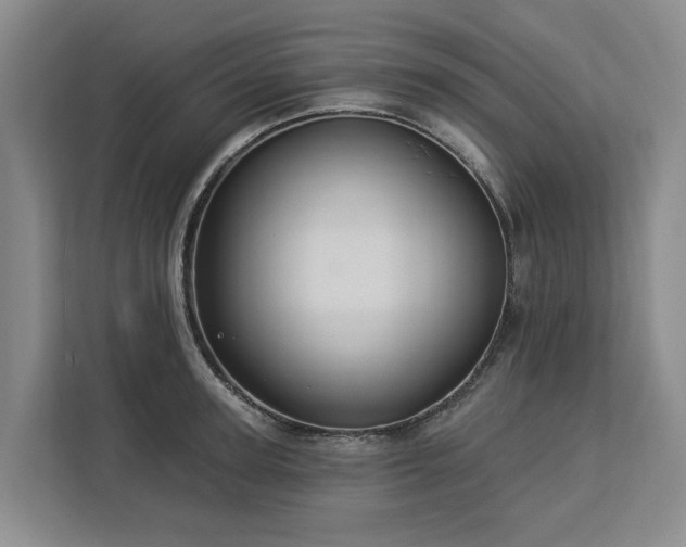 X0000113060947200908281131