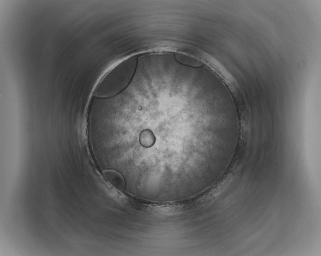 X0000113060948200908281131