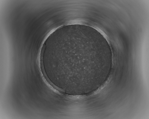 X0000113060949200908281131