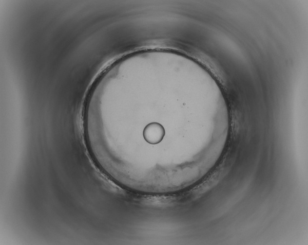 X0000113060950200908281131