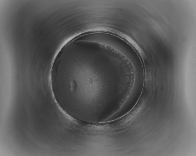 X0000113060951200908281131
