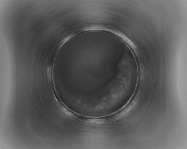 X0000113060953200908281131