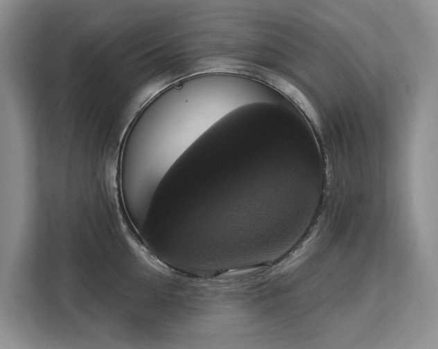 X0000113060954200908281131