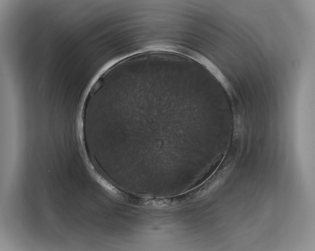 X0000113060955200908281131