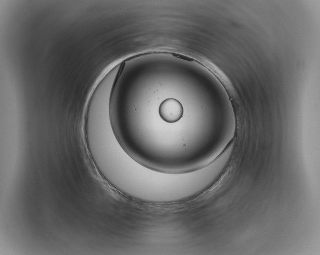 X0000113060956200908281131