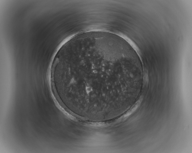 X0000113060957200908281131