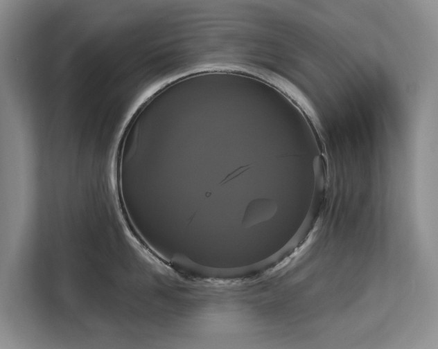 X0000113060958200908281132