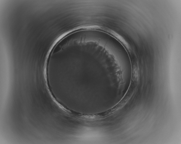 X0000113060959200908281132