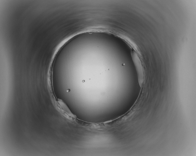 X0000113060960200908281132