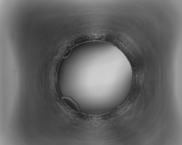X0000113060961200908281131
