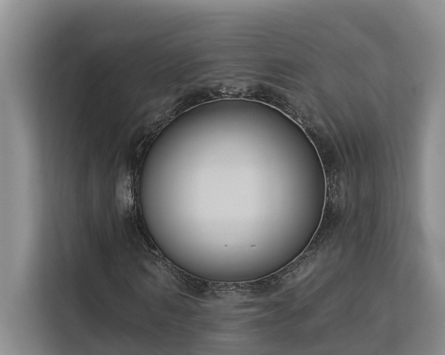 X0000113060962200908281131