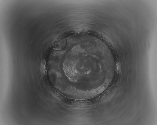 X0000113060963200908281131