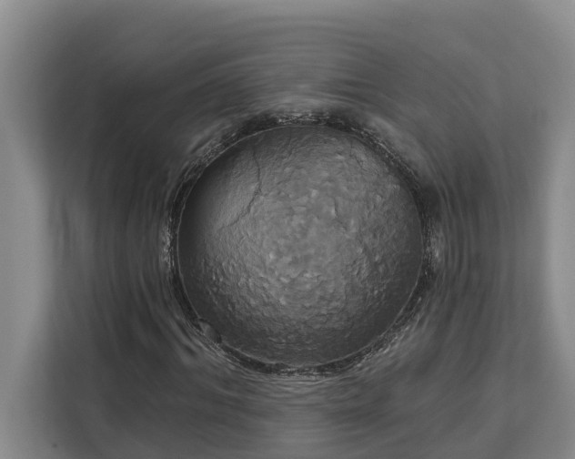 X0000113060964200908281131