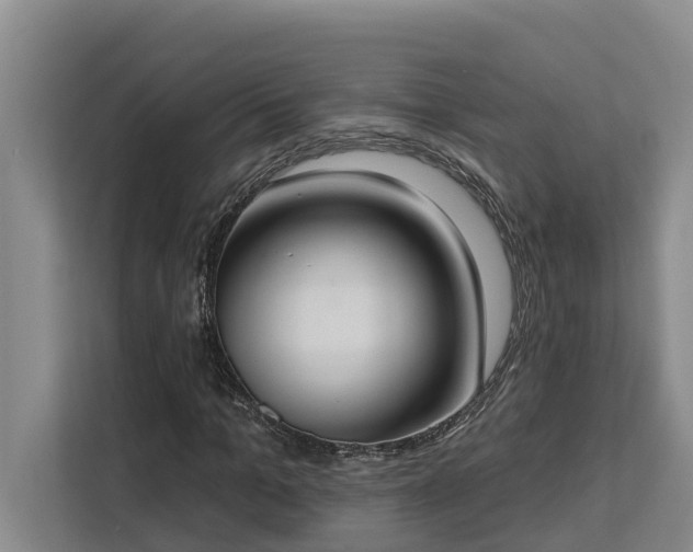 X0000113060965200908281131