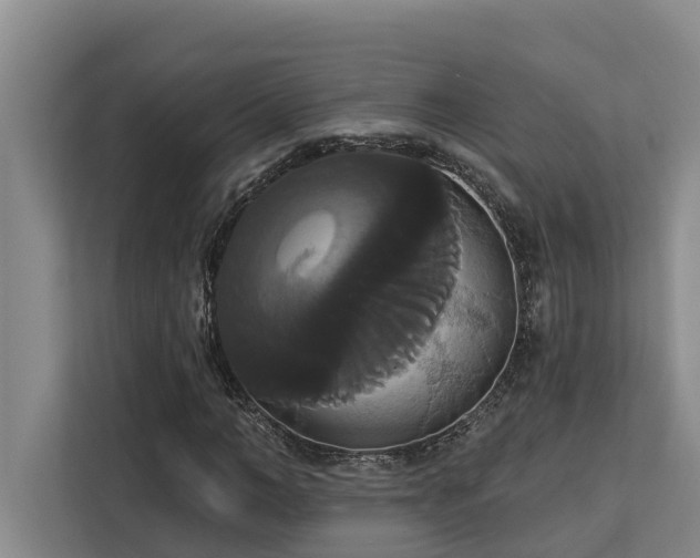 X0000113060966200908281131
