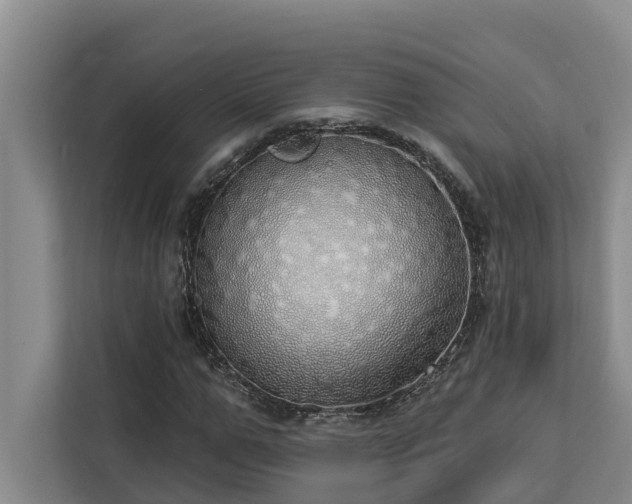 X0000113060967200908281131