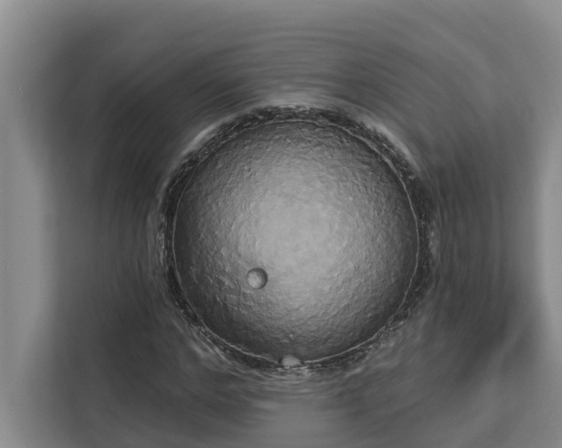 X0000113060968200908281131