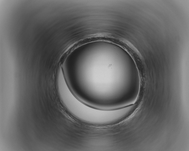 X0000113060969200908281131