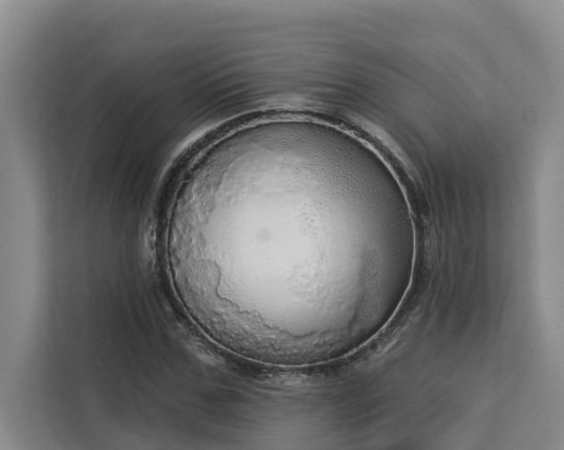 X0000113060971200908281131