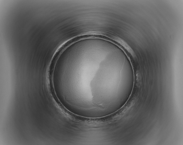 X0000113060972200908281131