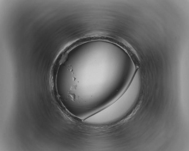 X0000113060973200908281131